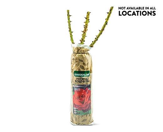 Gardenline Premium Rose Bush Assorted Varieties