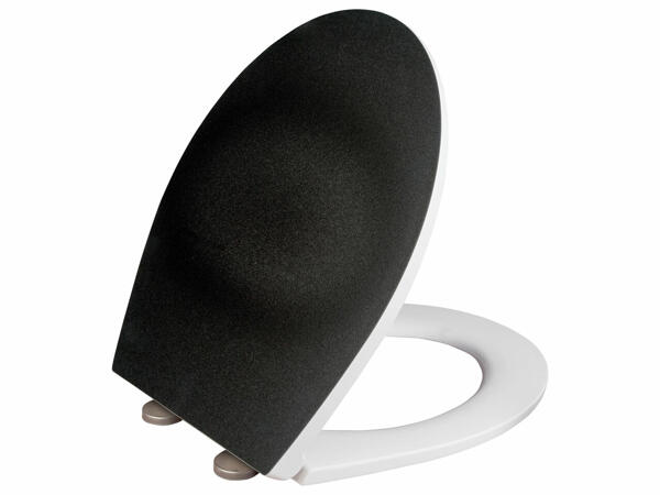 Toilet Seat