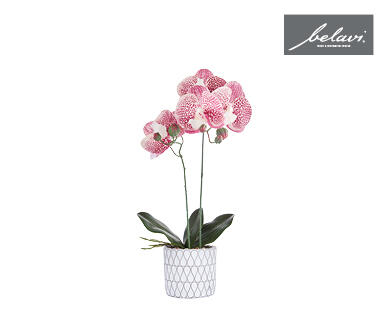 Artificial Plants in Decorative Pots
