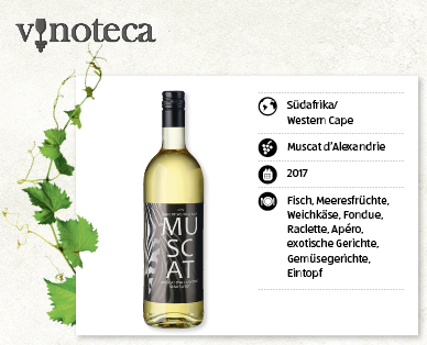MUSCAT Muscat d'Alexandrie