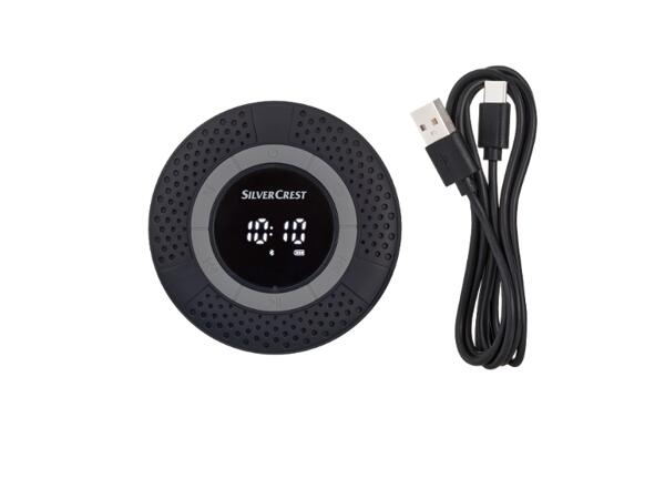 Bluetooth(R) Bathroom Speaker