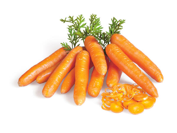 Fucino Carrots PGI