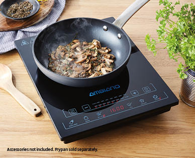 Induction Cooking Plate