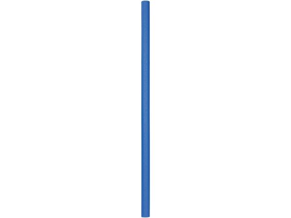 Pool Noodle