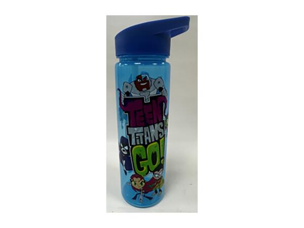 600ml Character Water Bottle - Teen Titans