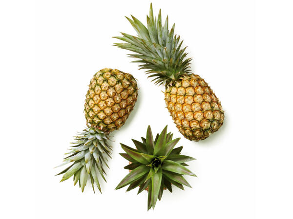 Pineapple