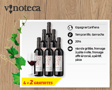 Tinto Joven DO FLOR DE NIEVE