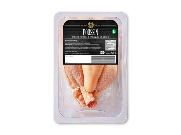 Poussin