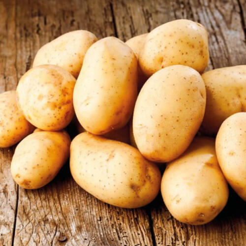 Pommes de terre de consommation "Marabel"