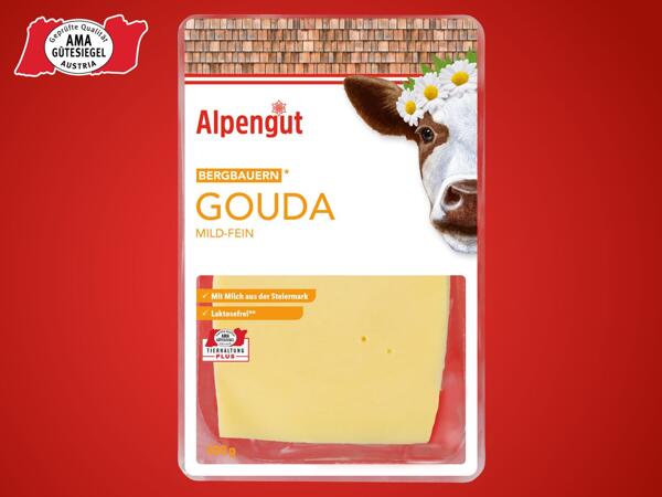 Bergbauern Gouda