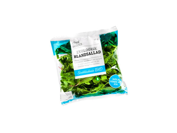 Ekologisk sallad småbladsmix