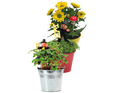 PORTE-BONHEUR DANS UN POT EN ZINC