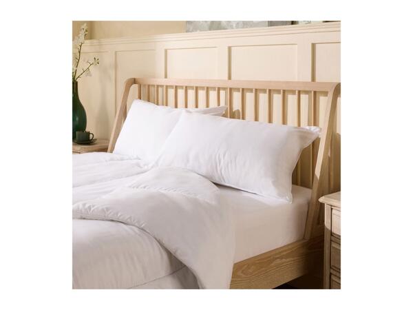 Anti-Allergy Pillows - 2 Pack