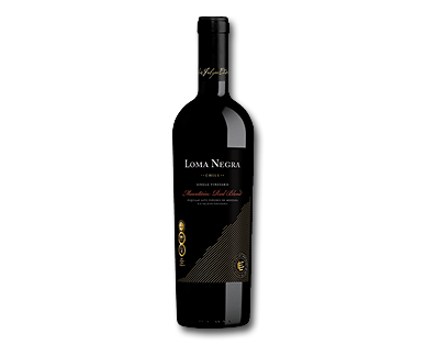 Luis Felipe Edwards Loma Negra
