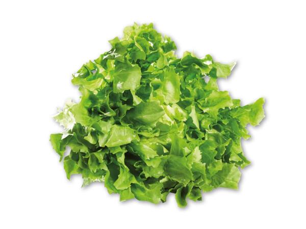 Crisp salat