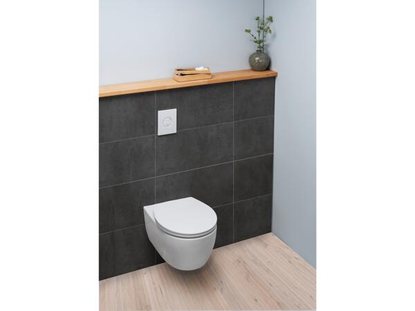 Toilet Seat
