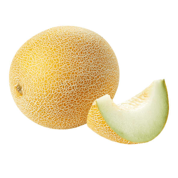 Melon Galia