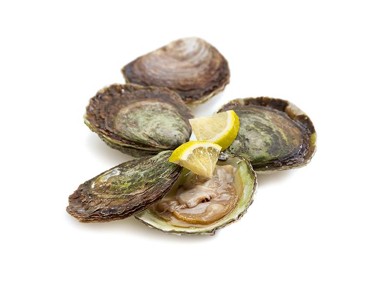 Zeeuwse platte oesters