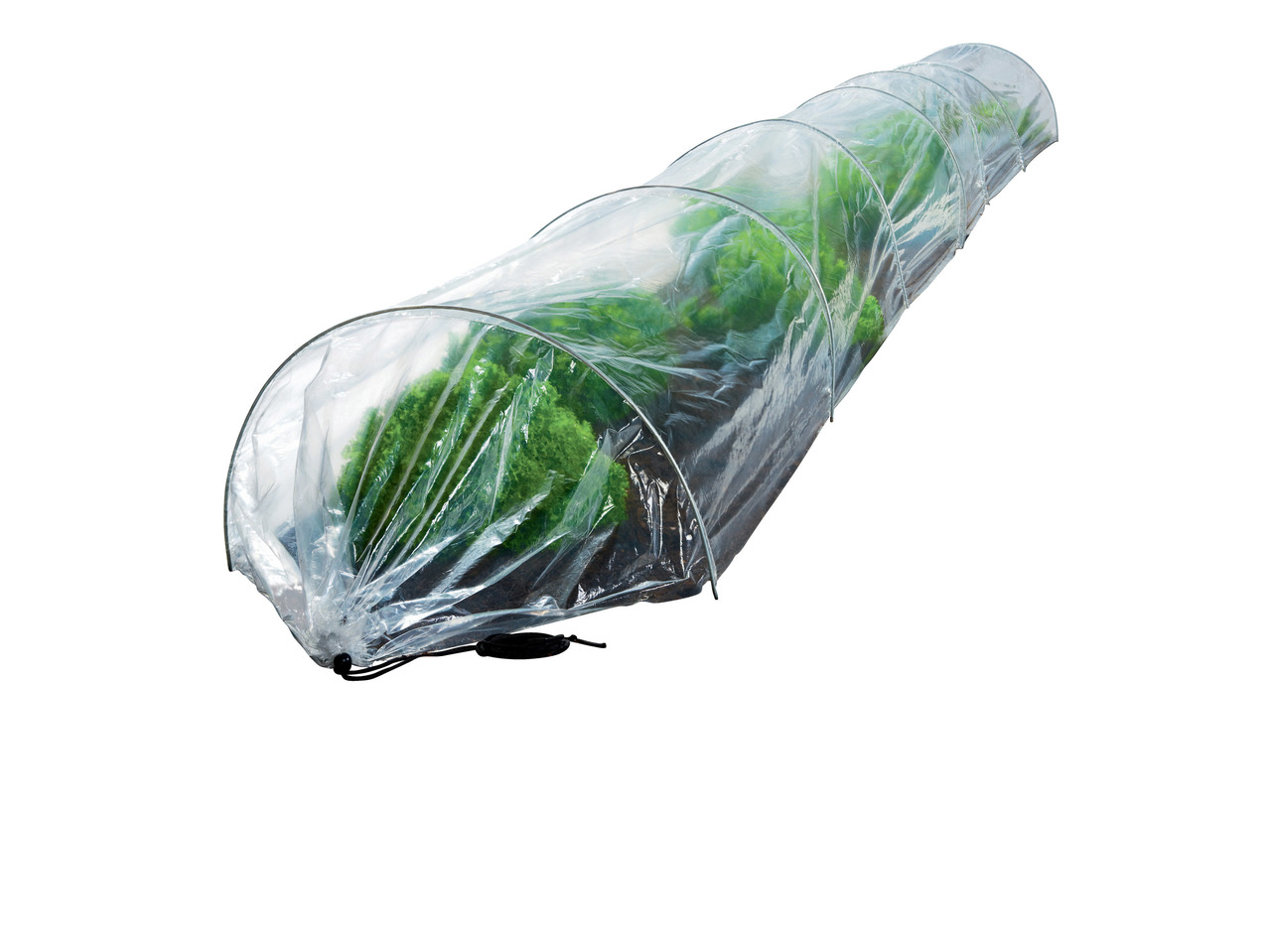 Grow Tunnel