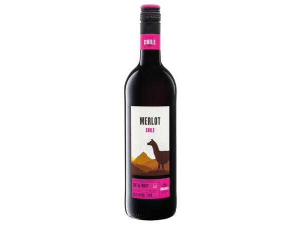Merlot Chile