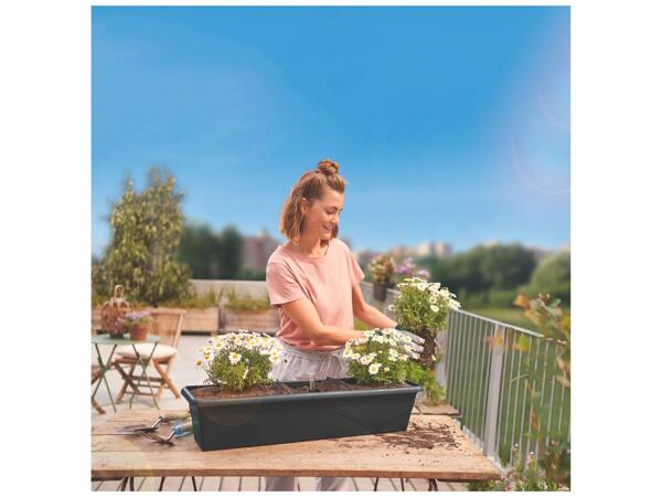 Jardiniere De Terrasse Lidl