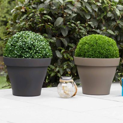 Boule de buis ou d'herbe