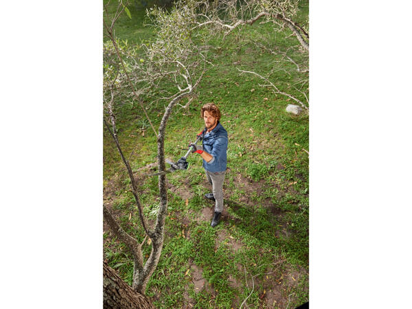 Extendable Tree Pruner