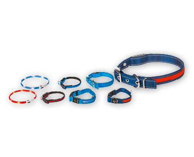 Collier LED pour chiens ROMEO