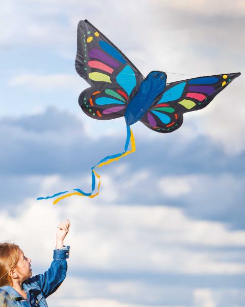 Crane Butterfly 3D Kite